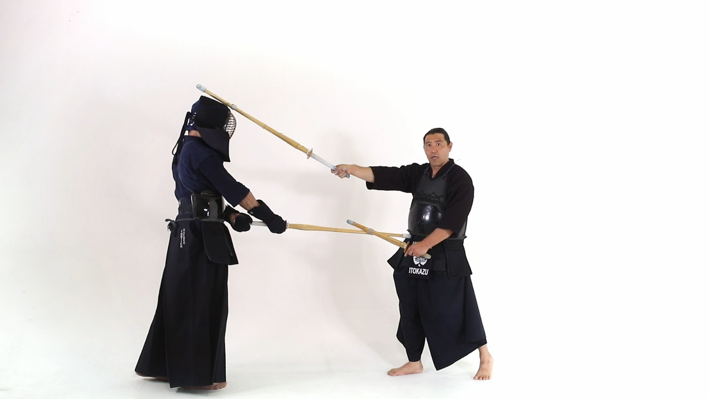 KIPPON Nito-Ryu Online Kendo Course / KIPPON Insiders Training Group 1 Year Membership