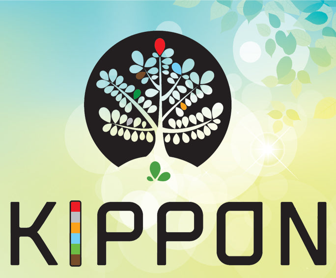 Séminaire KIPPON Kendo Jour 2/ KIPPON Kendo Seminar Day 2